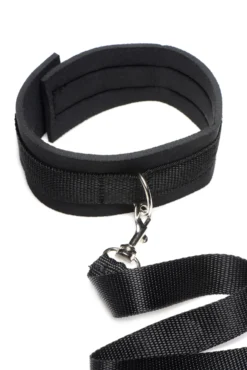 Ensemble laisse et collier Frisky