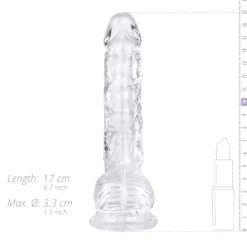 Gode en Gelée avec Testicules - 15 cm