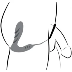 Vibro en silicone pour prostate et sangle avec télécommande